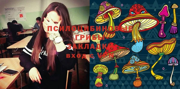 амф Козельск