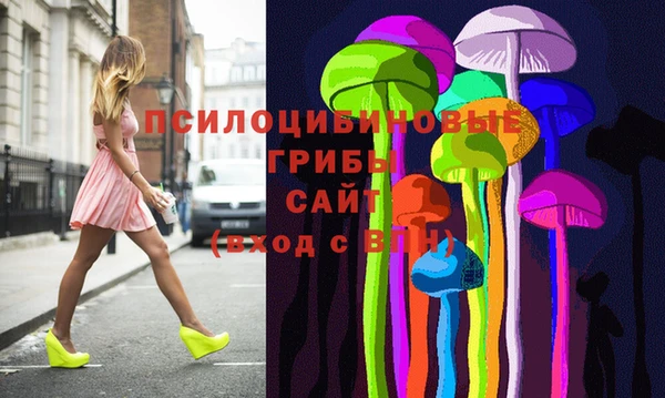дмт Козловка