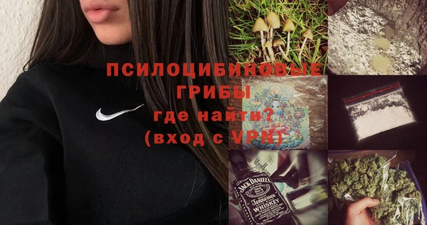 дмт Козловка