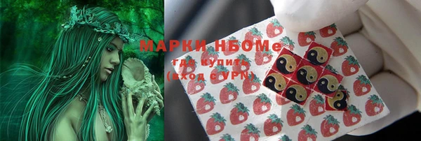 амф Козельск